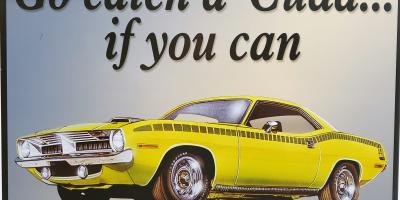 Catch A Cuda