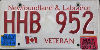 Newfoundland Vet