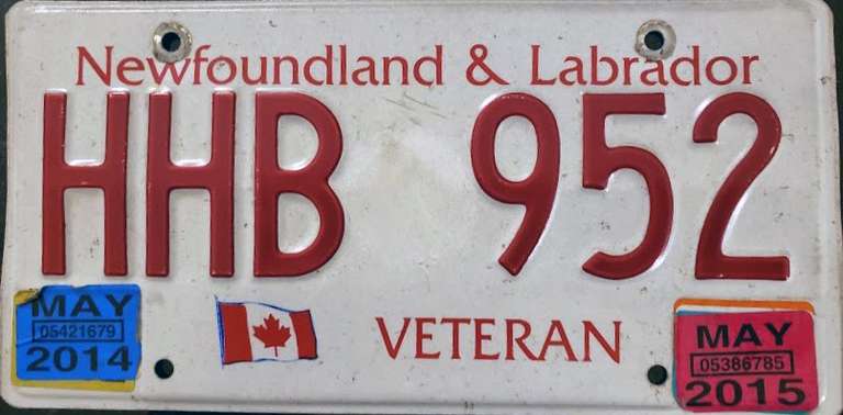 Newfoundland Vet