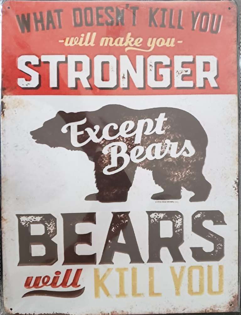 Bears