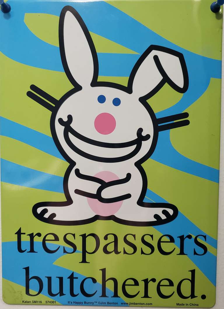 Rabbit