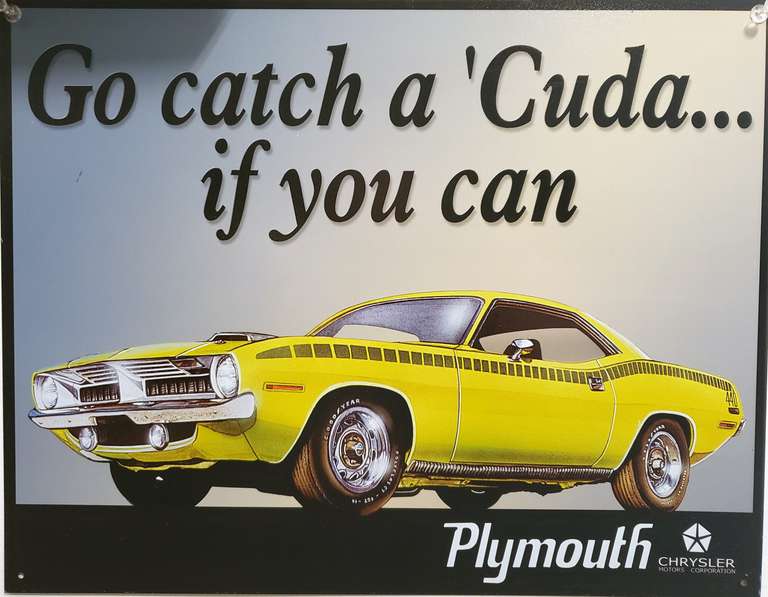 Catch A Cuda